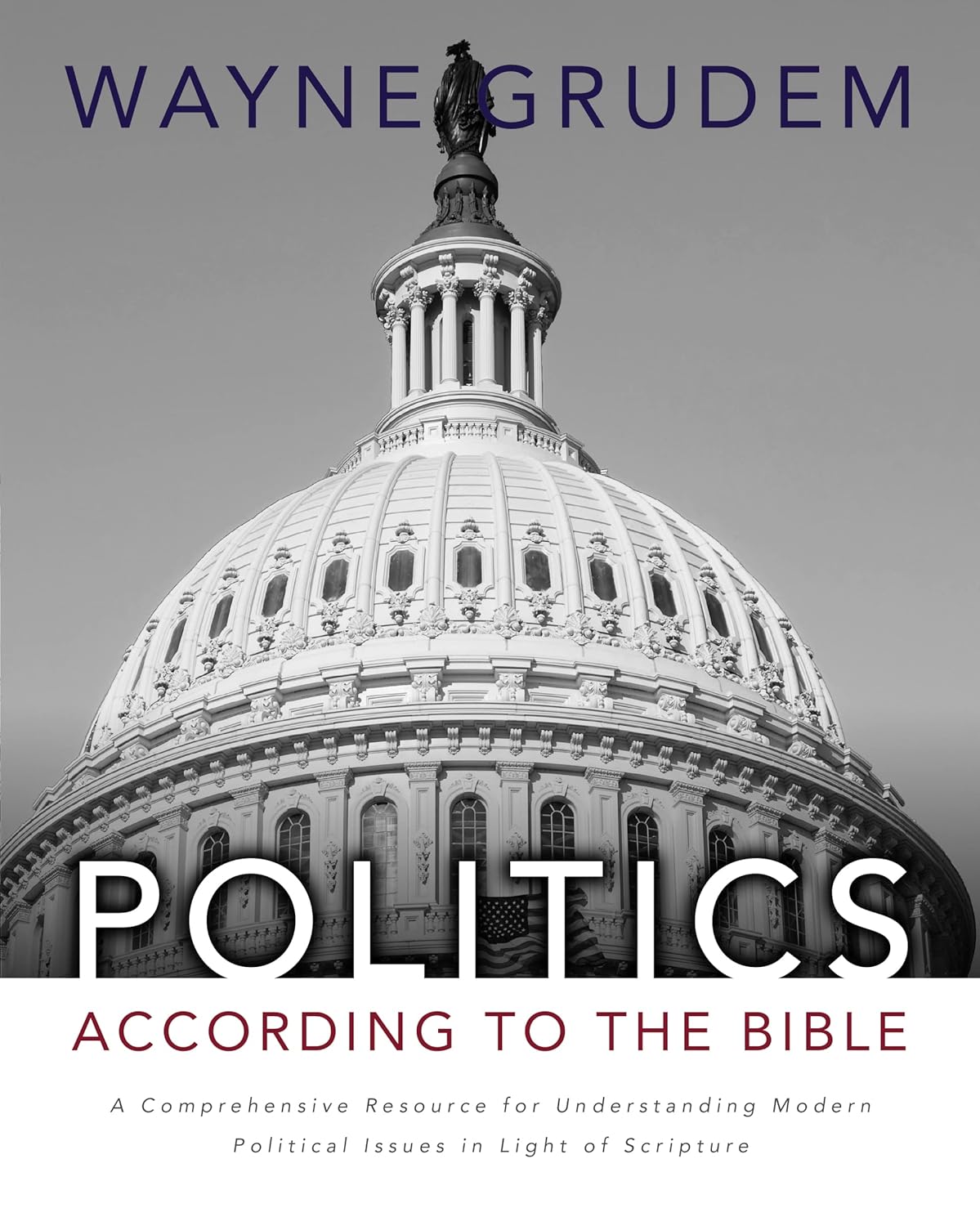 Politics According to the Bible