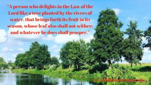 Psalms 1:1-3