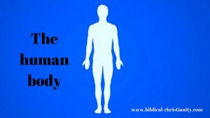 Man: A Tripartite Being with body, soul and spirit