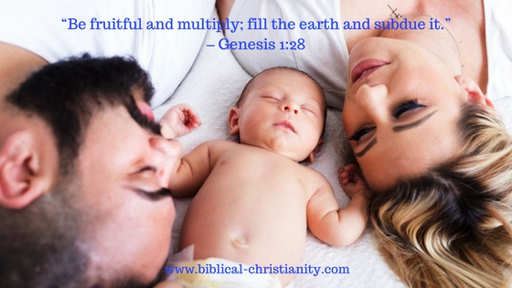 Be fruitful and multiply - Genesis 1:28