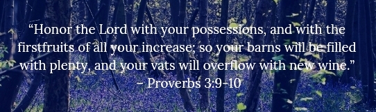Honor the Lord with your wealth - Proverbs 3:9-10