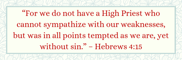 Hebrews 4:15