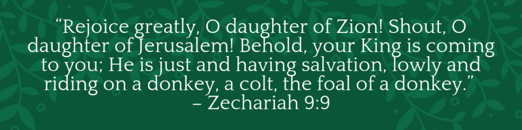 Zechariah 9:9 