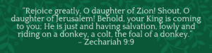 Zechariah 9:9