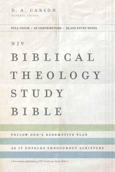 Best Study Bibles for Beginners