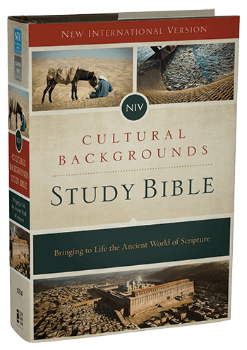 Top Rated Study Bibles