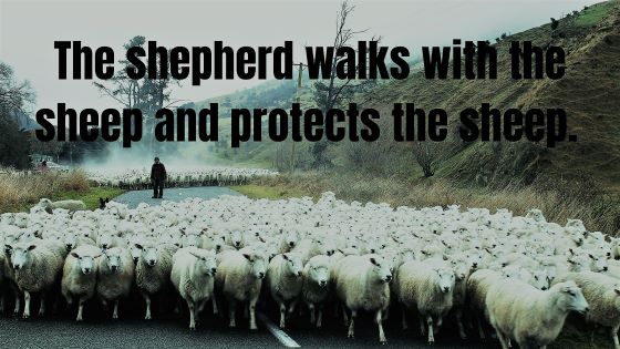 Psalm 23 The Shepherd's Song 