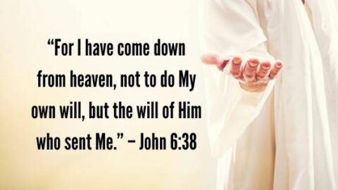 How is the Father Greater than Jesus? - Biblical Christianity