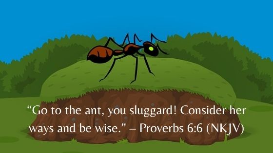 Daily Life Lessons From Proverbs 6