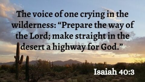 Is John the Baptist “The Elijah?” - Biblical Christianity