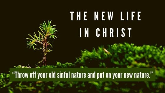 New Life in Christ 