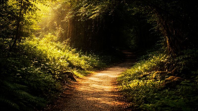 Garden path fading into shadow symbolizing the fall and original sin